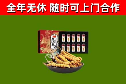 裕民回收冬虫夏草价格